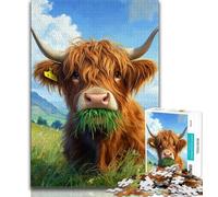Puzzle 1000 pièces Vache des Highlands pour Adolescents et Adultes, Anti-Stress, défi Difficile, renforce l'amour Entre Couples 38x26cm
