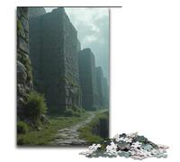 Puzzle 1000 pièces Vieux Mur de Pierre recouvert d'herbe Sauvage Puzzle Impossible pour Adultes Anti-Stress pour Adolescents de 14 Ans et Plus 1000 pièces (38 x 26 cm)