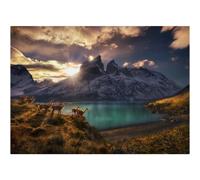 Heye Verlag Puzzle Guanacos – 1000 pièces – 29815