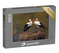Puzzle 1000 pièces XXL « Couple de cigognes Blanches Pendant la période de Reproduction printanière »