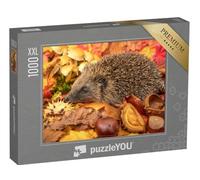 Puzzle 1000 pièces XXL « Hérisson en Automne avec des châtaignes et des Feuilles d'automne colorées »