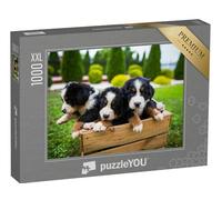 Puzzle 1000 pièces XXL « Jeune Bouvier Bernois »