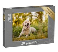 Puzzle 1000 pièces XXL « Labrador Retriever doré Lors d'une Pause dans Le Parc »