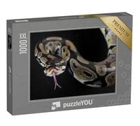 Puzzle 1000 pièces XXL « Serpent Python à la Langue tirée »