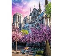 Puzzle 1000 Premium Plus : Cathédrale Notre-Dame de Paris G