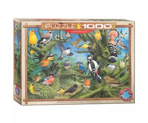 Puzzle 1000 Ptaki ogrodowe, Joahn Franc 6000-0967 Eurographics