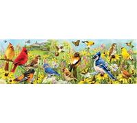 Eurographics Puzzle panoramique Oiseaux du jardin 1000 pièces multicolore - version anglaise