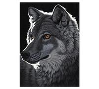 Schim Schimmel - Nuit Du Loup