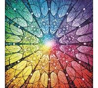 Puzzle 1023 pièces : Mandala de la Vie - David Mateu - Edition Spéciale Magnolia G