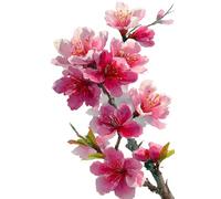 Puzzle 150 Pieces Fleurs Prunier L'Aquarelle, Jeu éducatif Défi Jouets Stimule Concentration et Imagination, Puzzle Adulte 150 Pièces 35 x 25 cm