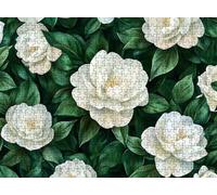 Puzzle 1500 Pieces Adultes, Challenge Casse-Tête Difficile, Format 87 x 57 cm, Puzzle Bois Coloré pour Détente, Jeu de Société Famille, Impossible Classique Jigsaw Puzzles Fleur Usine-3 f0-435
