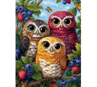 Puzzle 1500 Pieces Adultes Hibou, 87x57cm Jigsaw Puzzles Classiques, Puzzle Adulte 1500 pièces Myrtille, Jeu Éducatif et Défi de Concentration, Idée Cadeau Anniversaire