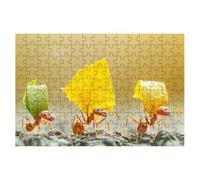 Puzzle 1500 Pièces Adultes, Puzzle 1500 Pieces Feuille, Fourmi Puzzles Adulte avec Une Boîte d'emballage Exquise, Jeux Educatifs, Grand Puzzles en Bois, Cadeau Femme Tableau Decoration Murale -2247