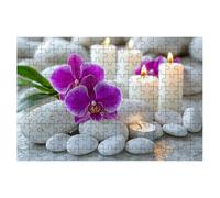 Puzzle 1500 Pièces Adultes, Puzzle 1500 Pieces Fleur, Pierre Puzzles Adulte avec Une Boîte d'emballage Exquise, Jeux Educatifs, Grand Puzzles en Bois pour Cadeau Femme Tableau Decoration Murale -1941