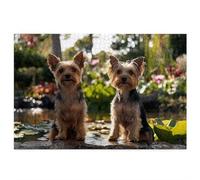 Puzzle 1500 Pièces Adultes, Puzzle Animaux pour Adulte, Grand Puzzles Bois avec Boite Cadeau 87x57cm, Jeu de Concentration pour Adultes, Decoration Noel, Idee Cadeau Femme Homme, Thème: Chien, J-97