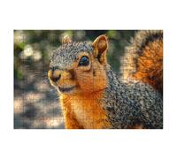 Puzzle 1500 Pieces Animaux, Puzzle Écureuil Adulte, Puzzles Classiques Jeux Educatifs pour Activité Familiale, Qualité Supérieure Puzzles en Bois avec Boite pour Cadeau Homme Cadeau Femme, Decor -1440