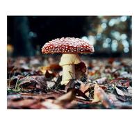 Puzzle 1500 Pièces, Artisanat Cadeau Famille Puzzle-Mouche,amanite Tue-Mouche,Champignon Rouge 87x57cm