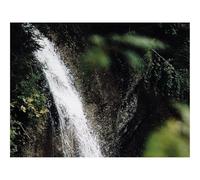 Puzzle 1500 Pièces,Bricolage Moderne Art Mural Cadeau-Cascade,ruisseau,Branches,embruns 87x57cm