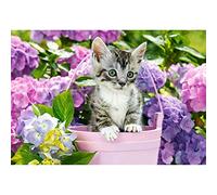 Chaton Dans Le Pot - Puzzle 1500 Pièces