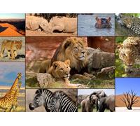 Puzzle 1500 pièces - Collage - Wildlife