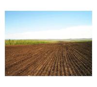 Puzzle 1500 Pièces, Développe Réflexion et Dextérité-Champ,Terre Arable,Terre,Lignes 87x57cm