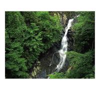 Puzzle 1500 Pièces, Développe Réflexion et Dextérité-Chutes,Bois,Pierres,Hauteur,Arbres,Vert,Rochers 87x57cm