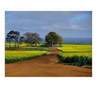 Puzzle 1500 Pièces - Encastrement Parfait-Champ,Chemin,Arbres 87x57cm