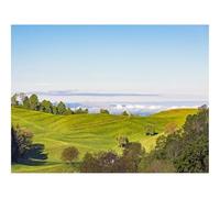 Puzzle 1500 Pièces - Encastrement Parfait-Champ,Colline,Arbres 87x57cm