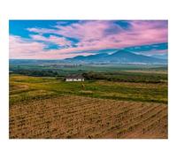 Puzzle 1500 Pièces - Encastrement Parfait-Slovaquie,vignoble,Champ,Ciel 87x57cm