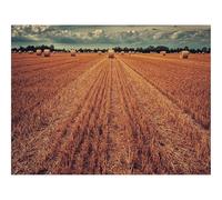 Puzzle 1500 Pièces - Jeu De Patience et de Réflexion-Champ,Culture,blé 87x57cm