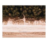 Puzzle 1500 Pièces - Jeu De Patience et de Réflexion-Plage,Vue aérienne,Mer,forêts,Rivage 87x57cm