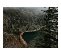 Puzzle 1500 Pièces,Le Cadeau Parfait pour La Famille et Les Amis -Falaise,Rivage,Arbres 87x57cm