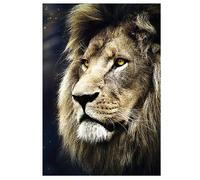 Puzzle 1500 Pièces Lion