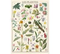 Puzzle 1500 pièces : Muséum National D'Histoire Naturelle : Les Fleurs