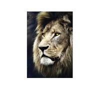 Trefl TR26139, Premium Puzzle 1500 Teile - Porträt eines Löwen, Qualitativ hochwertiges Premium Puzzle mit 1500 Teilen