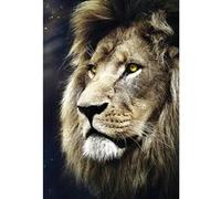 Puzzle 1500 pièces : Portrait de Lions G