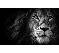 Puzzle 1500 pièces pour adultes - Lion noir - Chaque pièce est unique, la technologie Softclick signifie que les pièces s'emboîtent parfaitement - 87x57cm (34,25x22,44 pouces)