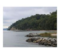 Puzzle 1500 Pièces - Puzzle de Qualité SupéRieure-Lac,Rive,Arbres,Pierres,Eau 87x57cm