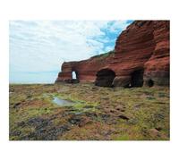 Puzzle 1500 Pièces - Puzzle de Qualité SupéRieure-Rochers,Montagnes,Colline,Solitude,Mousse 87x57cm