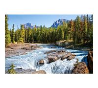 Puzzle 1500 Pièces - Rivière Athabasca, Parc National De Jasper : Canada