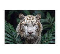 Puzzle 1500 Pieces Tigre, Puzzle Usine Adulte, Puzzles Classiques Jeux Educatifs pour Activité Familiale, Qualité Supérieure Puzzles en Bois avec Boite pour Cadeau Homme Cadeau Femme, Decoration -1780