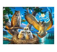 Puzzle 180 Pièces Famille De Hiboux