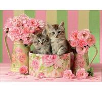 Puzzle 2 Chatons Dans Une Boite Et Des Bouquets De Roses - 500 Pieces - Educa - Collection Animaux