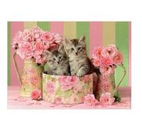 Puzzle 2 chatons dans une boite et des bouquets de roses - 500 pieces - educa - collection animaux G