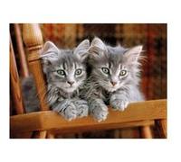Puzzle 2 mignons chatons gris - 500 pieces - set puzzle collection animaux et 1 carte tigre