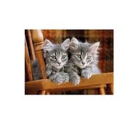 Puzzle 2 Mignons Chatons Gris - 500 Pieces - Set Puzzle Collection Animaux Et 1 Carte Tigre