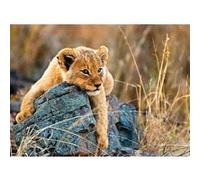 Puzzle 200 p XXL - Le petit lionceau Marron G