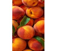 Puzzle 200 Pièces Adultes Fruit, Défis Amusants Parfait pour la Détente Créativité, Puzzle 200 Pieces 35 x 25 cm