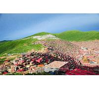 Puzzle 200 pièces Ce Lieu sacré du Bouddhisme 35x25CM