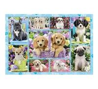 Puzzle 200 Pieces Chiots - SCHMIDT AND SPIELE multicolore G